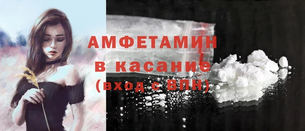трава Инта