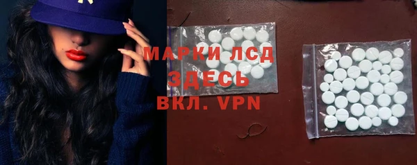 стаф Каменск-Шахтинский