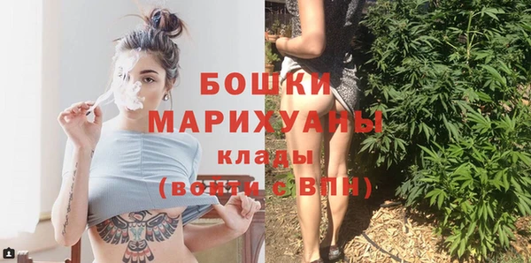 трава Инта