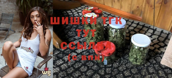 трава Инта