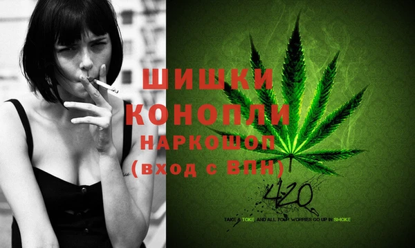 трава Инта