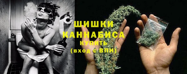 трава Инта