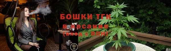 стаф Каменск-Шахтинский
