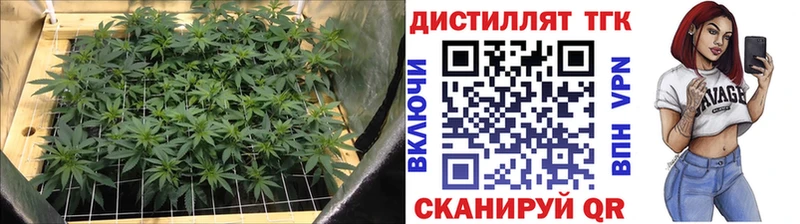 Купить закладки  Лыткарино  Дистиллят ТГК Wax 